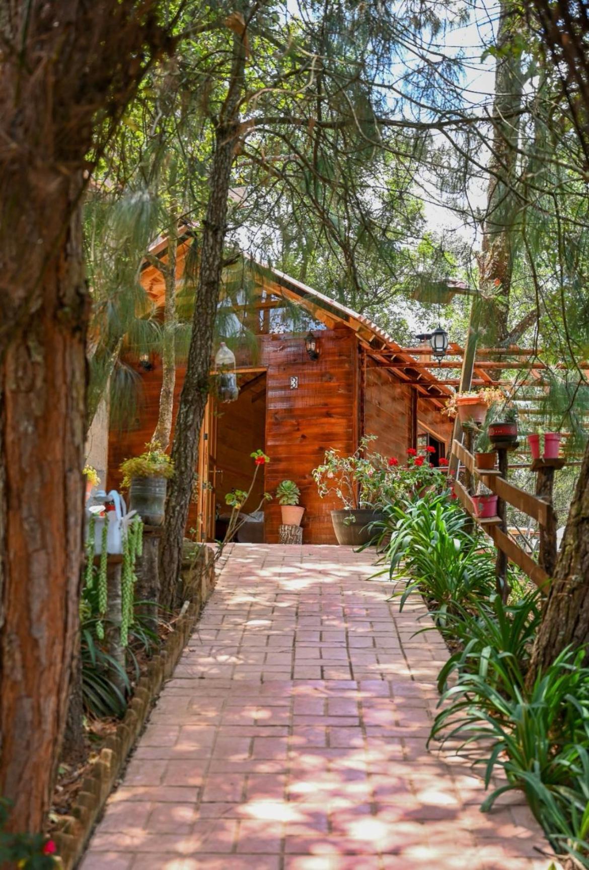San Jose Del Pacifico- Cabanas Camino Al Cielo 3 Eksteriør billede