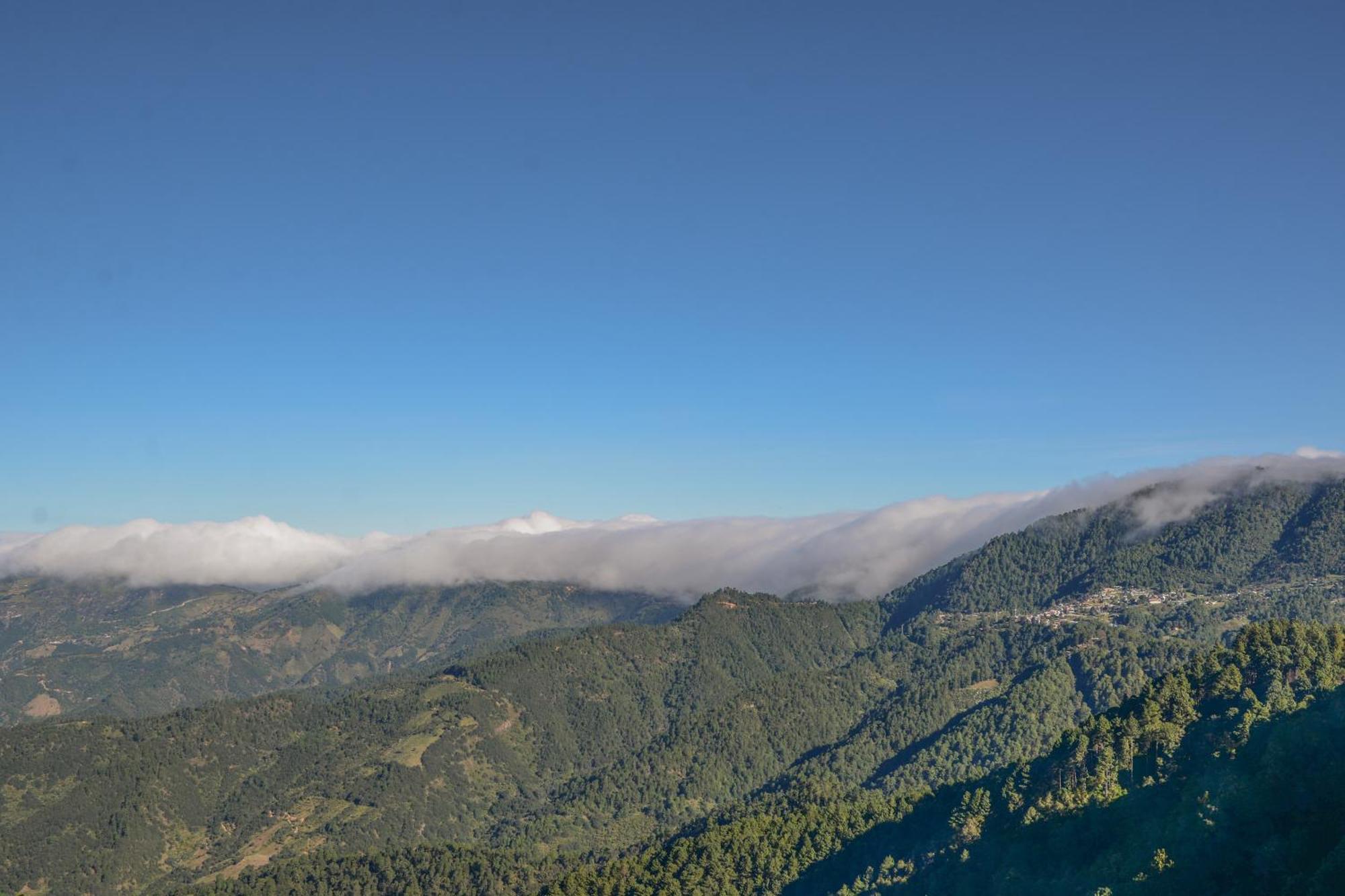 San Jose Del Pacifico- Cabanas Camino Al Cielo 3 Eksteriør billede