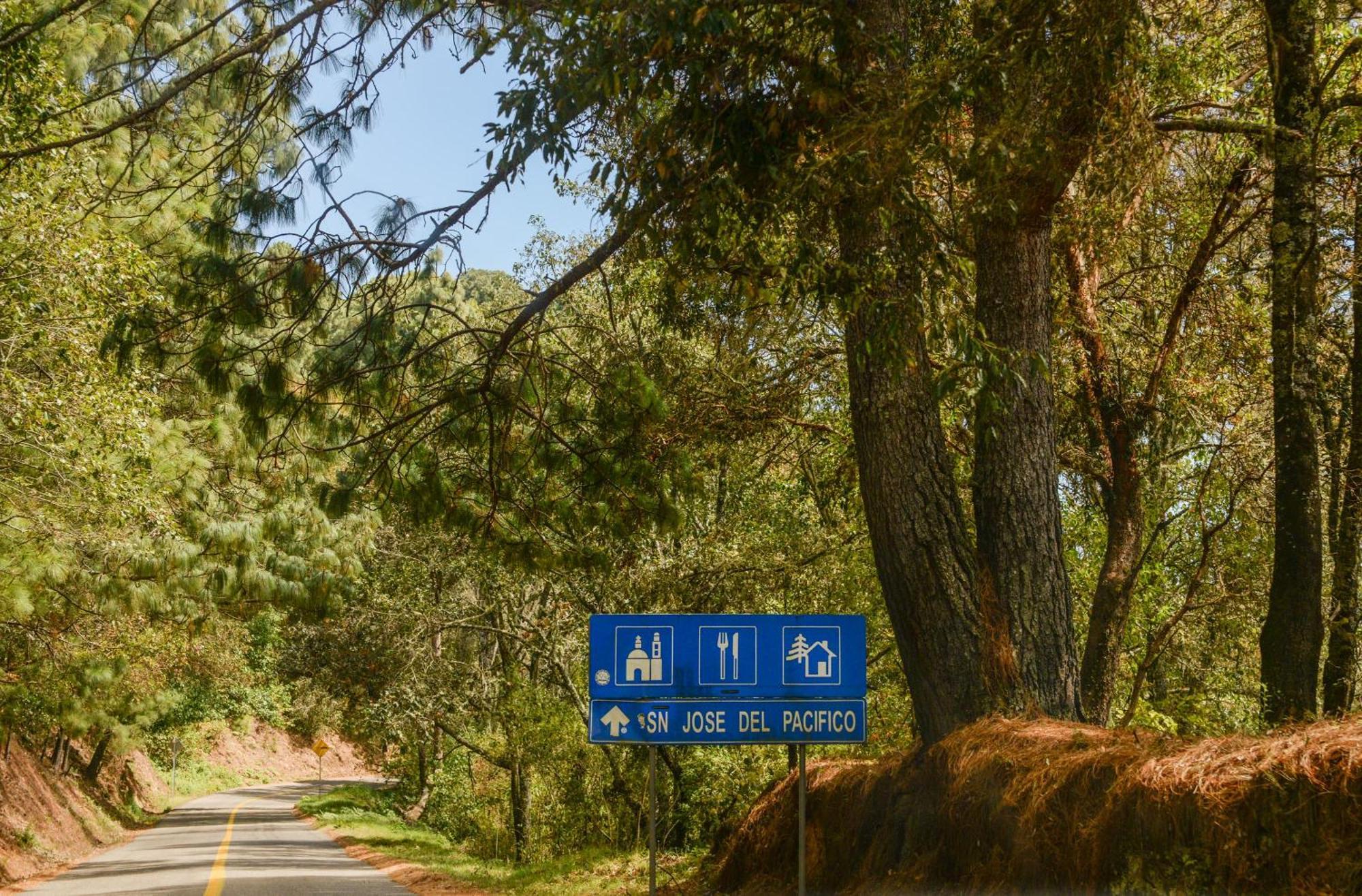 San Jose Del Pacifico- Cabanas Camino Al Cielo 3 Eksteriør billede