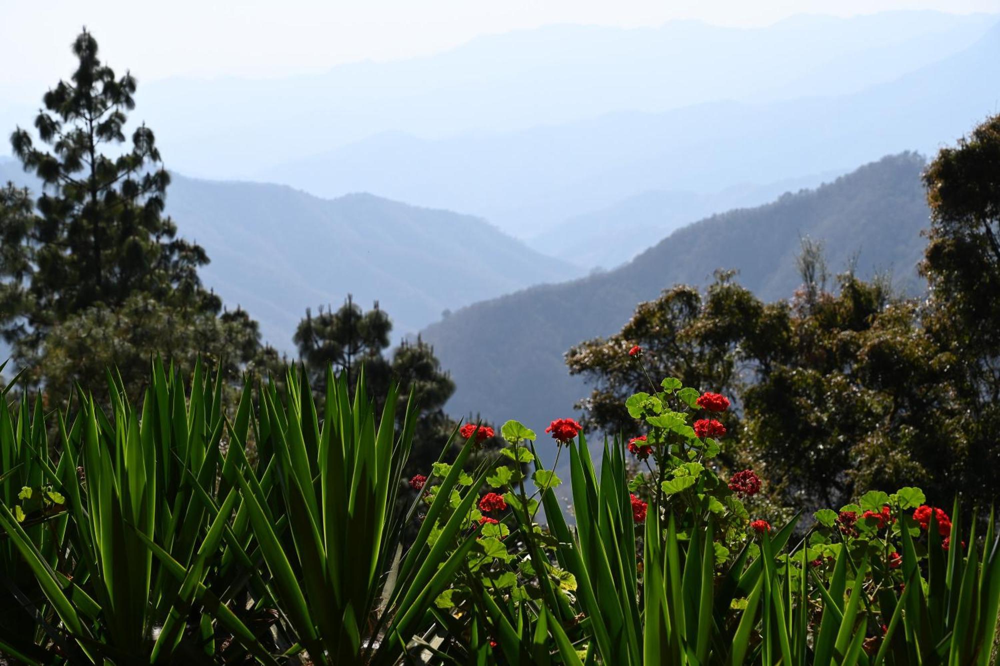 San Jose Del Pacifico- Cabanas Camino Al Cielo 3 Eksteriør billede